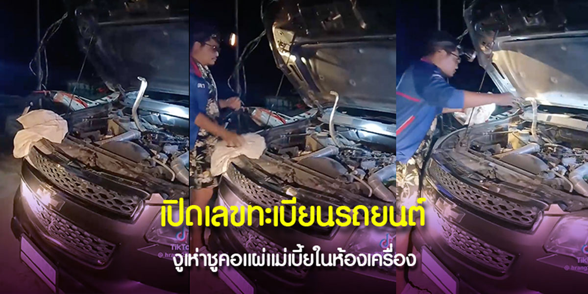 งูเห่าซ่อนในรถ