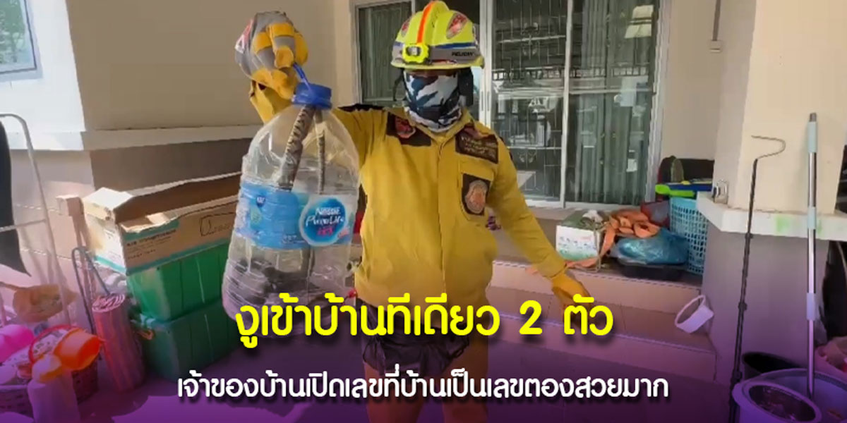 เลขที่บ้าน หลังงูเข้าบ้าน 2 ตัว